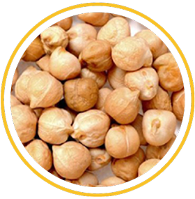 Chickpea